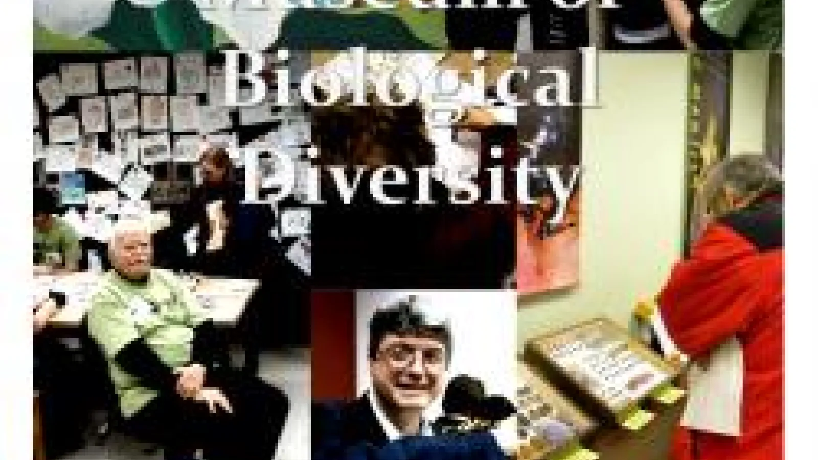 screenshot of MBD newsletter featuring collage of curators, volunteers, and Open House visitors