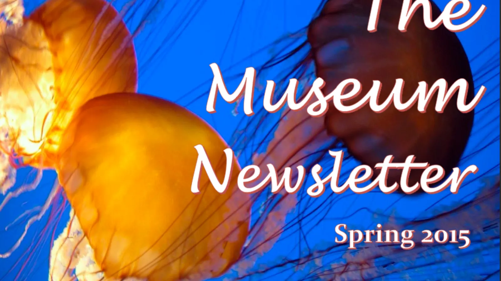 MBD Newsletter SP15