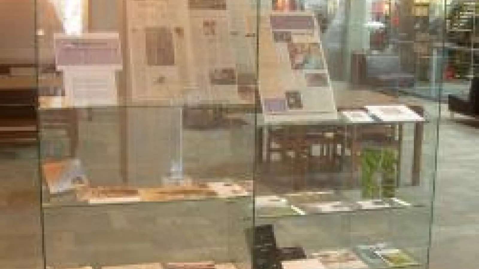 Ohio Spider Survey Exhibit on display in Thompson Library