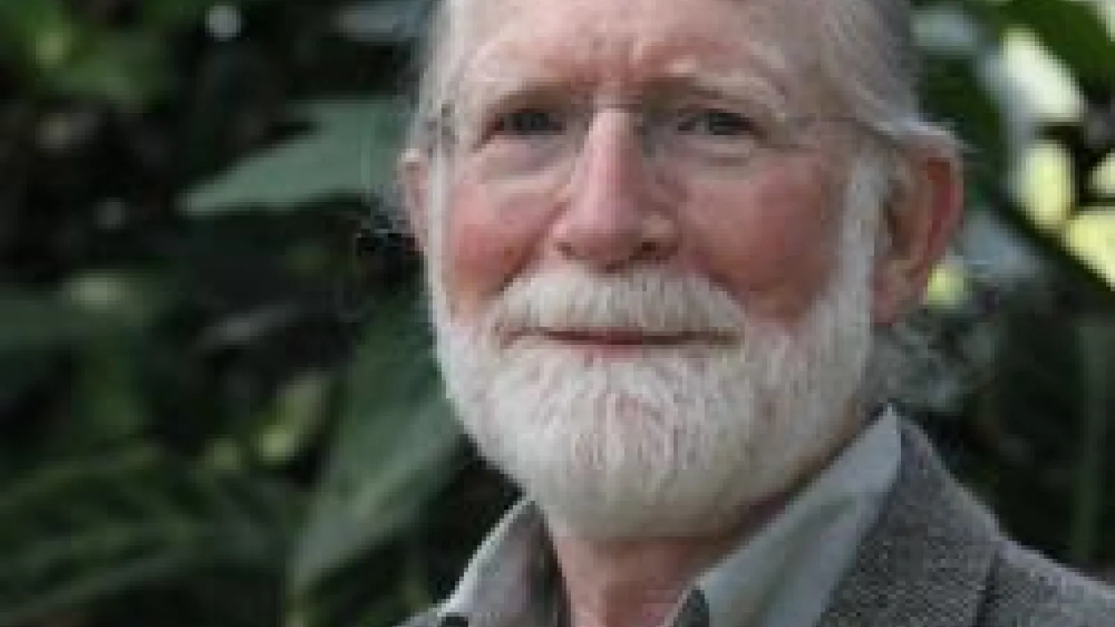 closeup of Dave Stetson
