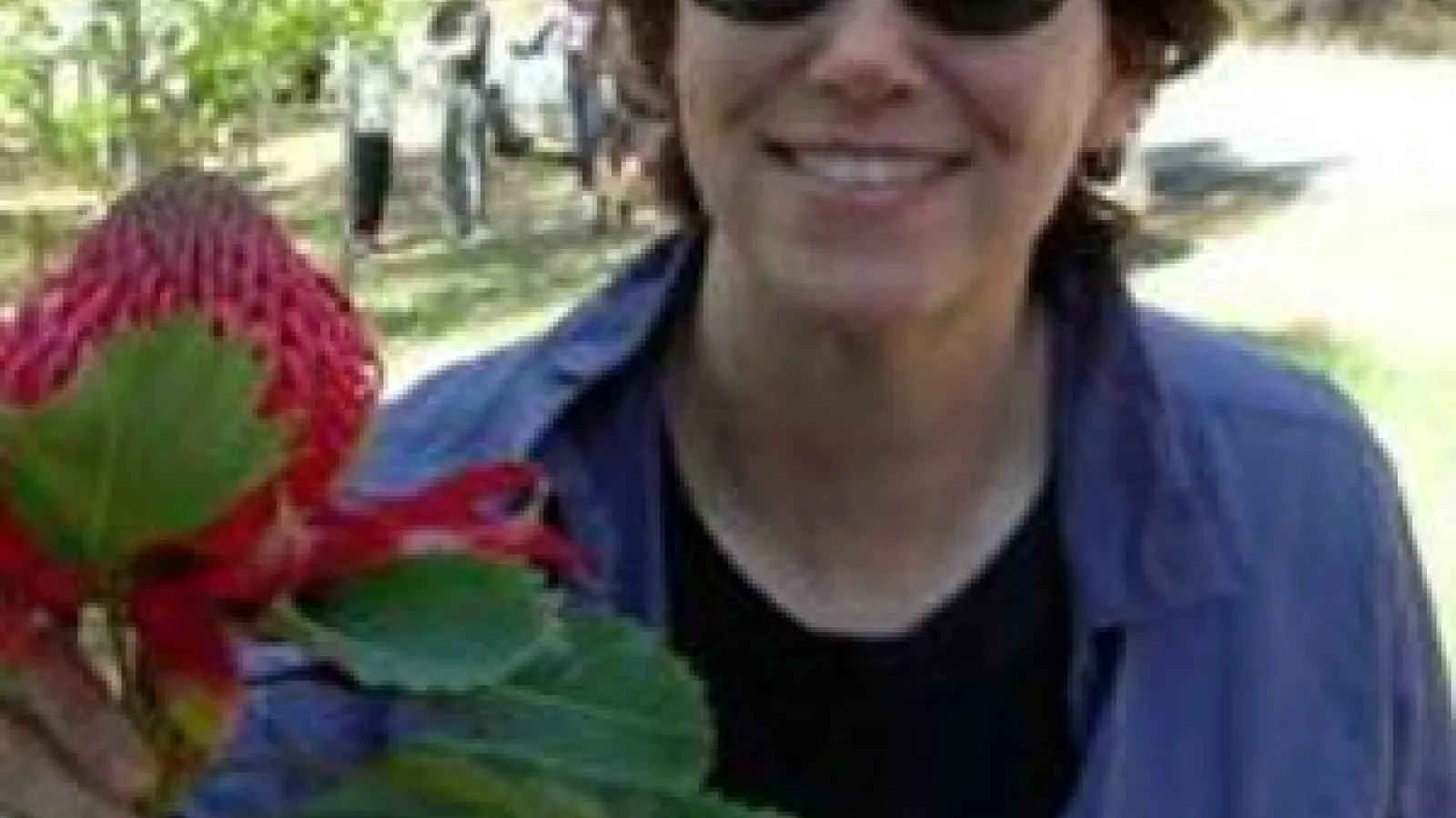 Andi Wolfe