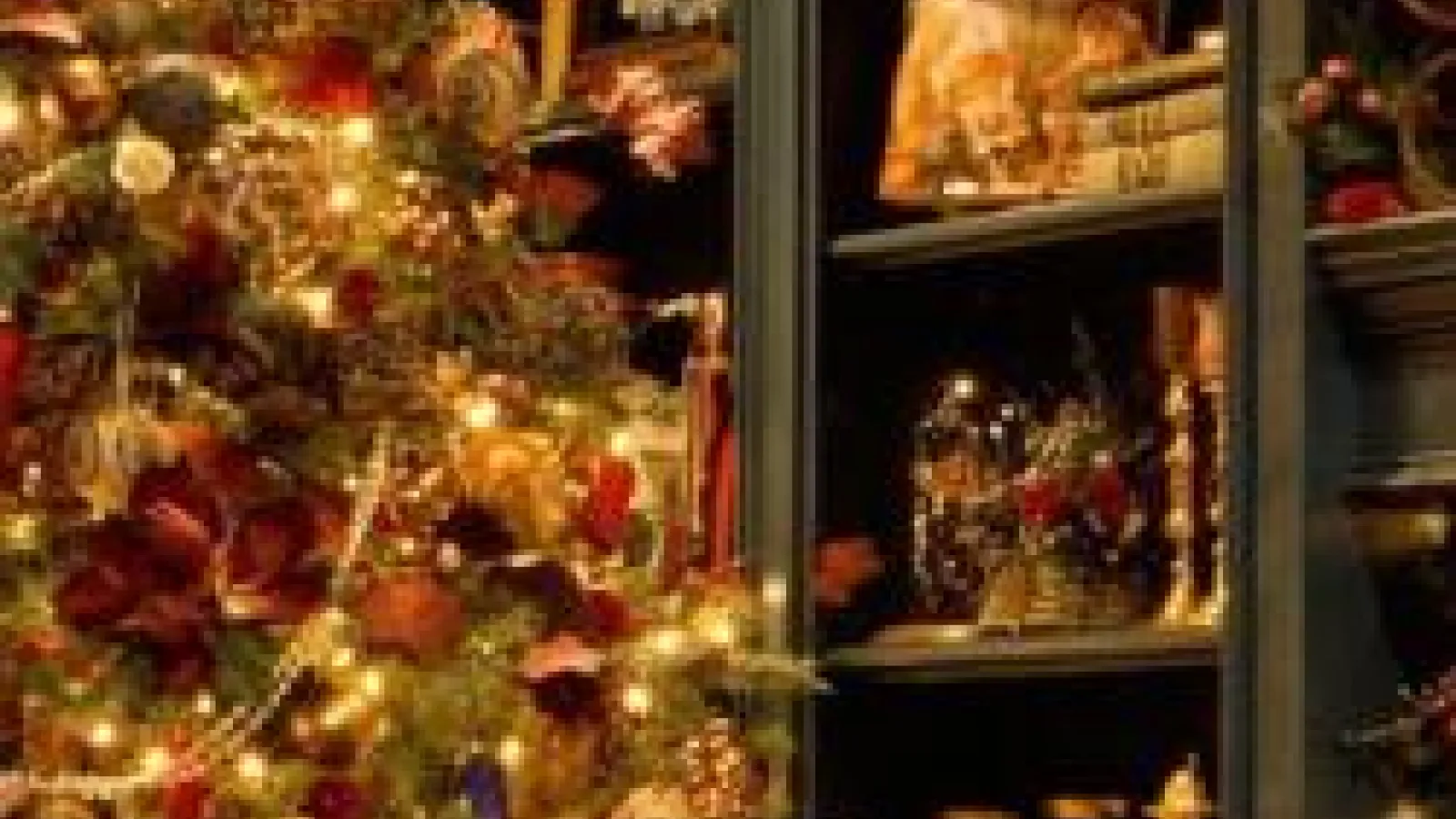 decorated and illuminated christmas tree in front of green bookshelf