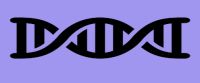 black DNA schematic on purple background