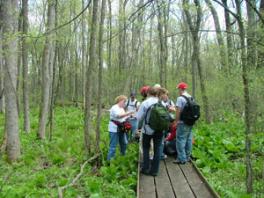 Ohio Plants students on woodlot boardwalk in early spring