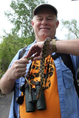 Professor Lisle Gibbs with Eastern Fox Snake from Lake Erie.