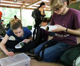 students observing and identifying animals in herpetology