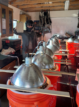 Being safe at the lab on Santa Rosa Island. Photo by Lauren Harris