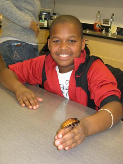 York student holding hissing cockroach