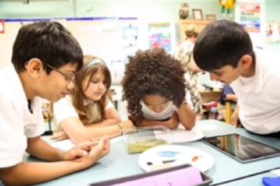 4 students from Wellington gather around specimen in classroom