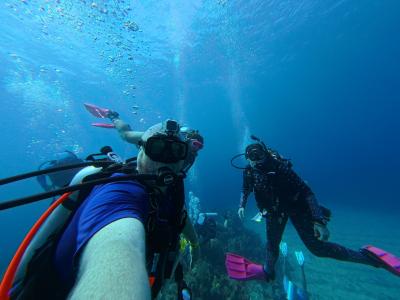 Coral reef research in Honduras with undergraduate students