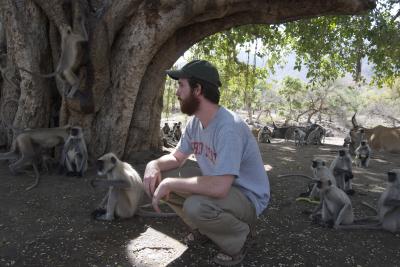 Andrew York-Calinger, surrounded by Langurs, crouches on the ground