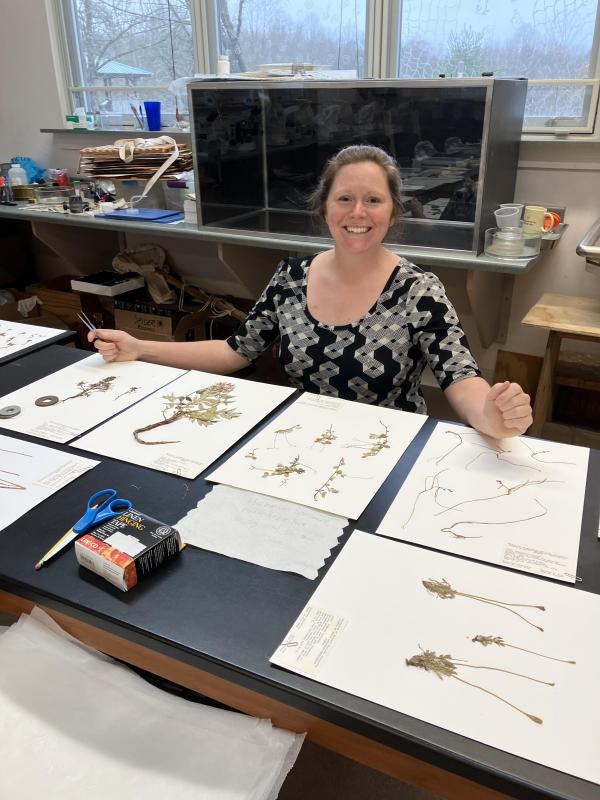 Jessie Novotny preserving Botany specimens for the Hiram College Herbarium