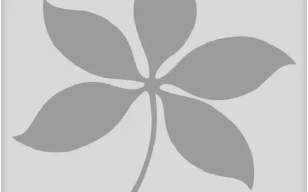 no image available