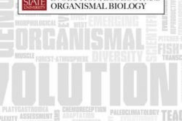 EEOB horizontal graphic on gray and white word cloud