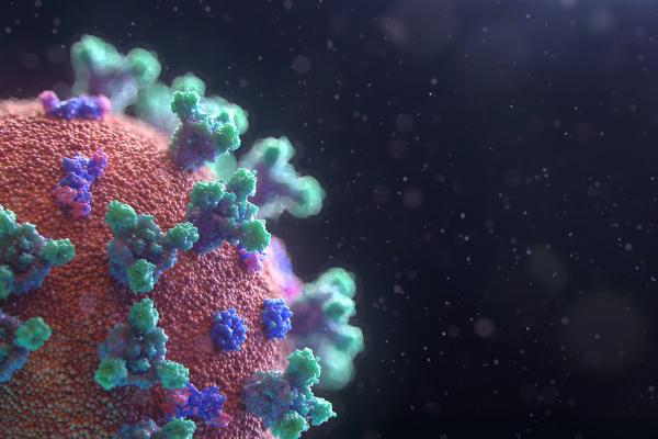 Digital art rendering of a coronavirus on a microscale