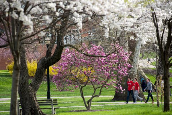 spring on south oval
