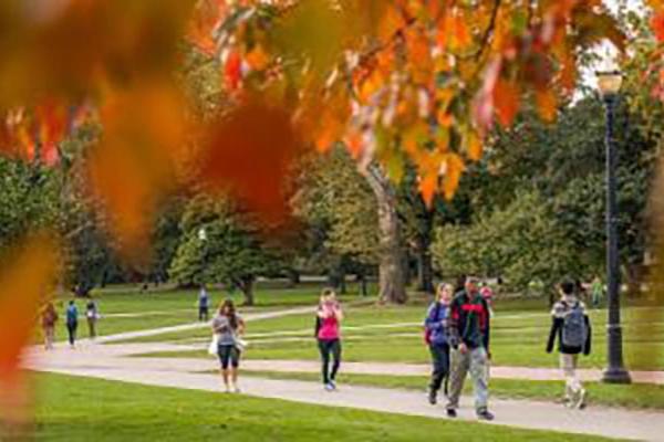 The Oval in Autumn