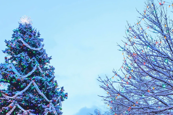 winter scene with decorated evergreen tree