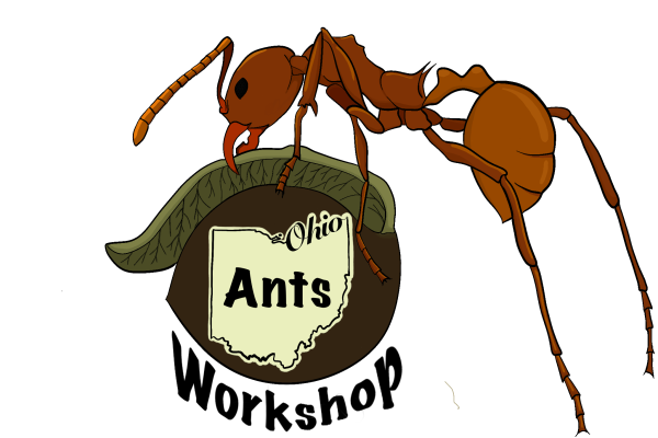 Ohio Ants Workshop graphic