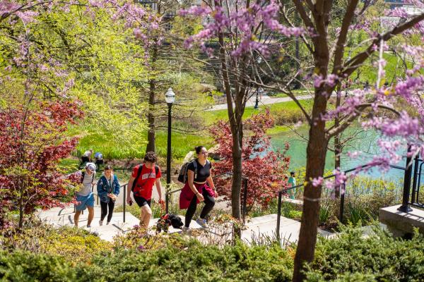 students climbing stairs from mirror lake in spring