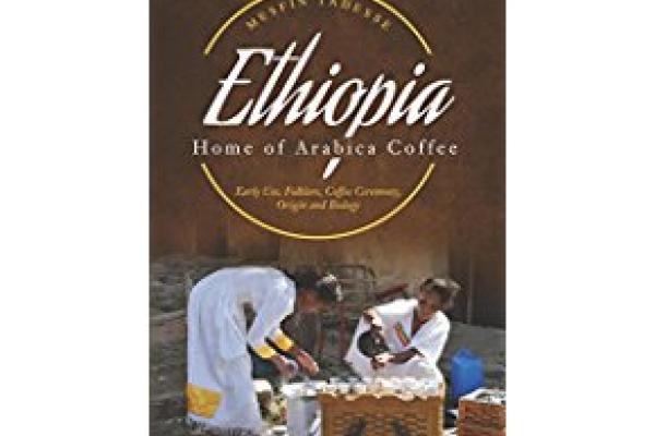 Mesfin's book