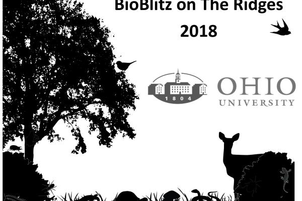 OU BioBlitz OU BioBlitz