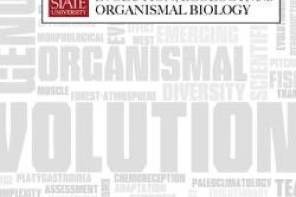 EEOB horizontal graphic on gray and white word cloud