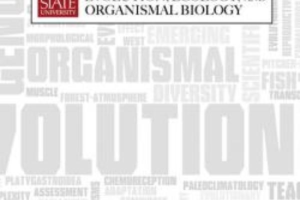EEOB horizontal graphic on gray and white word cloud