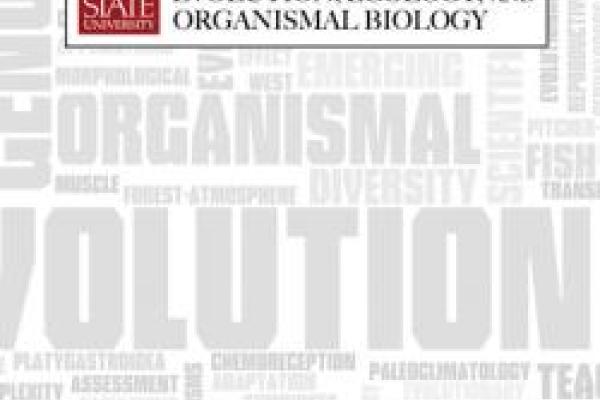 EEOB horizontal graphic on gray and white word cloud