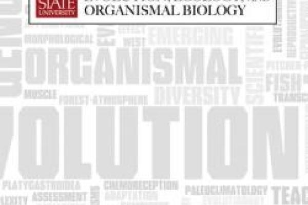 EEOB horizontal graphic on gray and white word cloud