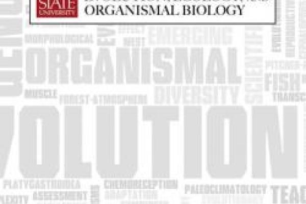 EEOB horizontal graphic on gray and white word cloud