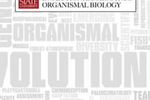 EEOB horizontal graphic on gray and white word cloud