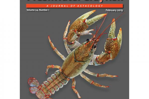 Mael Glon's crayfish cover