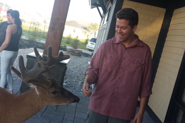 sam + deer sam + deer