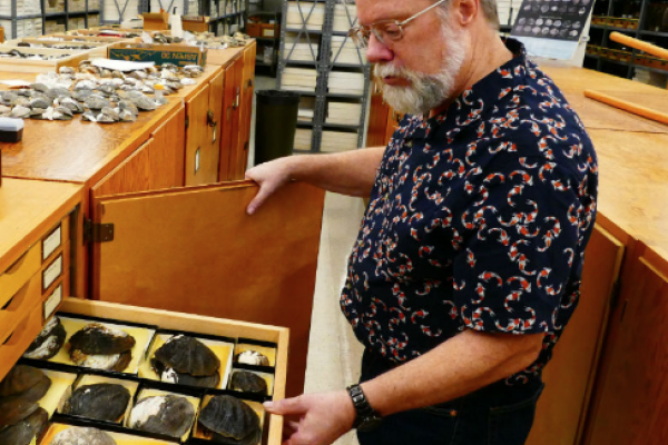 Watters in Bivalve Range Watters in Bivalve Range
