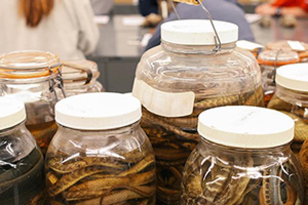 MBD specimen jars MBD specimen jars