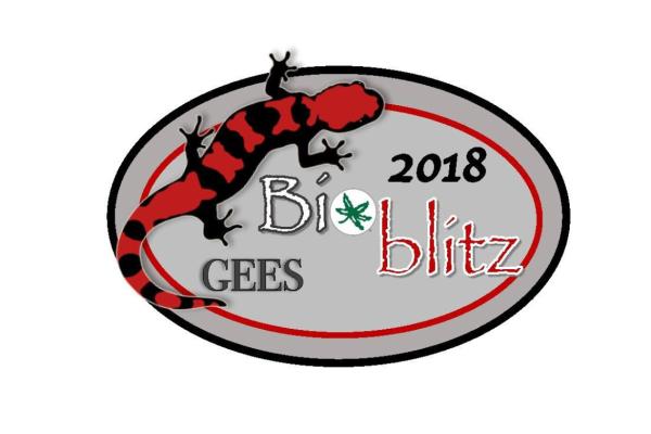 bioblitz 2018