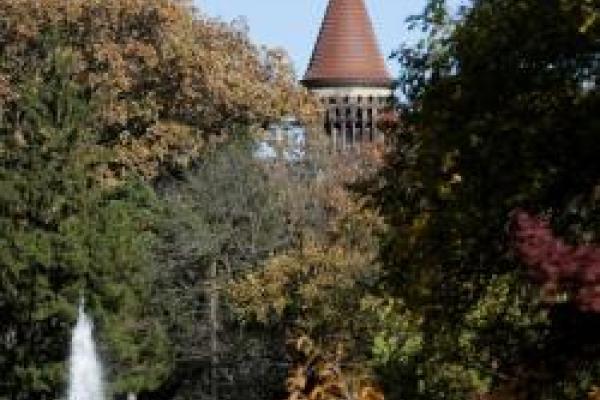 Orton Hall tower visible over tree tops and mirror lake fountain crest