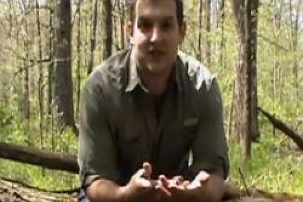 Rob Denton seated on fallen tree in heavily wooded area during early spring