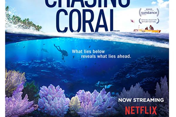 Chasing Coral