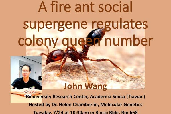 fire ant seminar