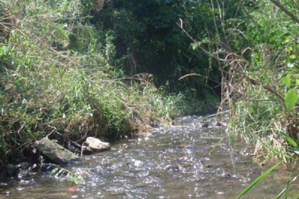 stream stream