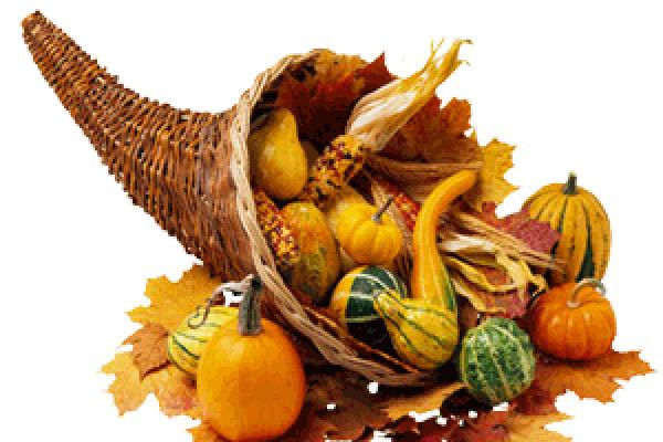 Thanksgiving cornucopia