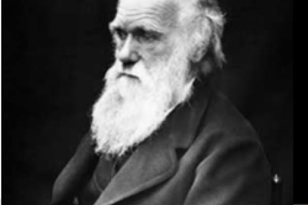 Darwin photo in black and white