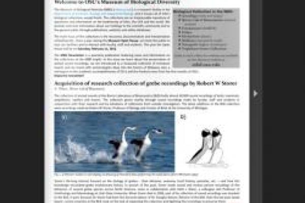 screenshot of MBD newsletter