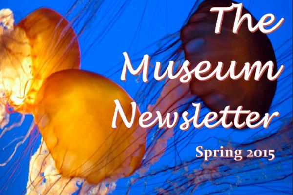 MBD Newsletter SP15 MBD Newsletter SP15