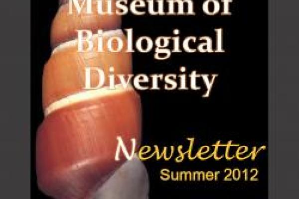 screenshot of MBD newsletter showing snail shell