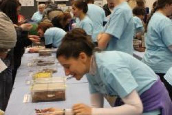 MBD faculty, staff, and grad students bend over arthropod specimens to show guests at the MBD Open House