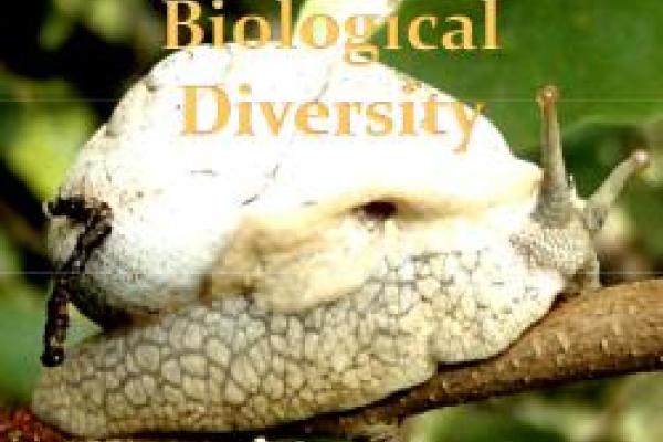 screenshot of MBD newsletter showing a land snail