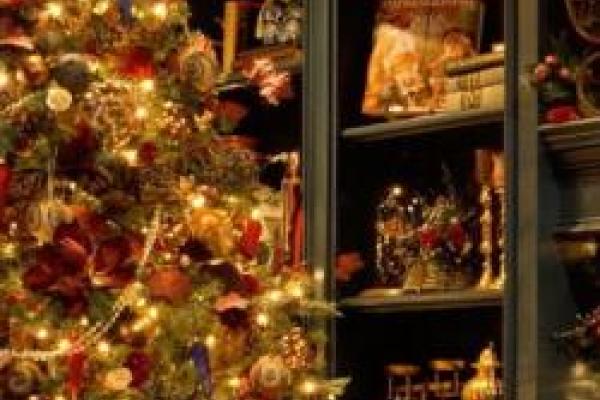 decorated and illuminated christmas tree in front of green bookshelf